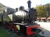 LAS ForestSteam Engine Coffee Mug - Poland's Best Home & Hobby