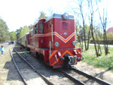 Narrow Gauge Diesel Engine LXd2 Popular Coffee Mug - Poland's Best Home & Hobby
