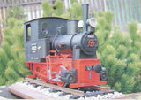 German Narrow-Gauge Steam Locomotive From 1904 Bn2t Freudenstein - Poland's Best Home & Hobby