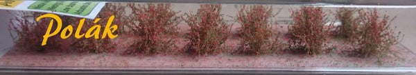 Low Flowering Bush Red Item 9181 - Poland's Best Home & Hobby
