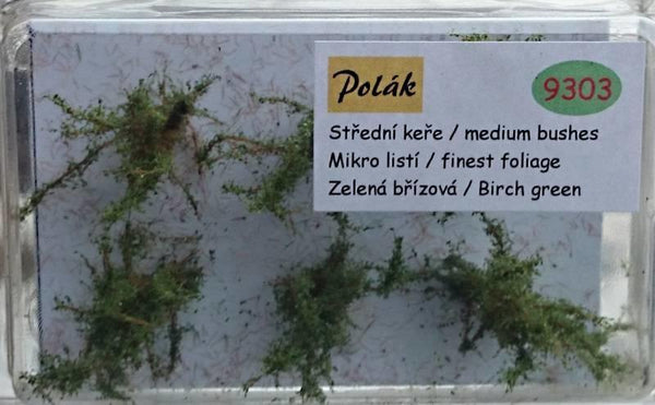 Medium Fine Foliage Birch Green Bushes - Poland's Best Home & Hobby