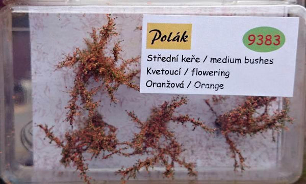 Medium Sized Flowering Bush 2.5 - 3 cm Orange Flowers Item 9383 - Poland's Best Home & Hobby