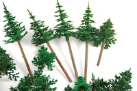 Spruce Tree Package Used Trees - Poland's Best Home & Hobby