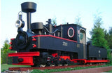 Narrow Gauge Steam Engine Model Dn2t Brigadelok - A Warrior Engine - Poland's Best Home & Hobby